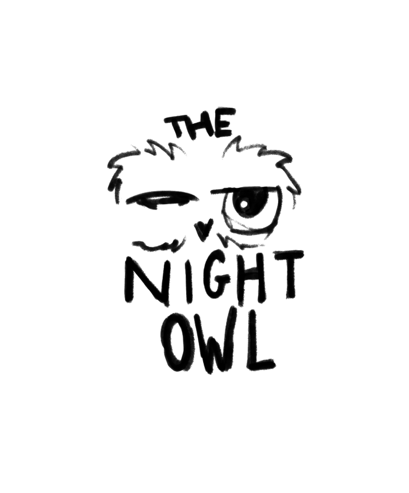 The words The Night Owl are nestled on either side of an illustrated winking owl face