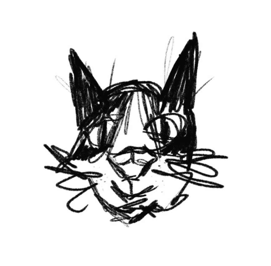 A very expressive black on white drawing of a black and white cats face